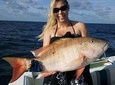 Naples Deep Sea Fishing Charters