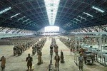Private Tour: One-Day Xian Trip from Shenzhen by Air