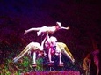 Beijing Roast Duck Dining with Opional Acrobatic or Kongfu Show