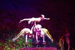 Beijing Roast Duck Dining with Opional Acrobatic or Kongfu Show