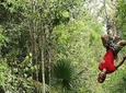 Cozumel Shore Excursion: ATV, Ziplines and Cenote Tour Extreme Adventure Park