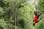 Cozumel Shore Excursion: ATV, Ziplines and Cenote Tour Extreme Adventure Park