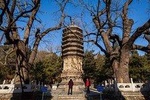 Tanzhe Buddhism Temple Private Day Tour with Marco Polo Bridge