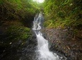 Ko'olau Waterfall Hike