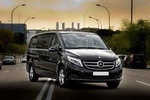 Arrival Private Transfer from Turin Airport TRN to Turin City by Luxury Van