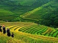 SAPA TREK TOURS - 2 DAYS 1 NIGHT STAY AT 3*** HOTEL IN SAPA TOWN