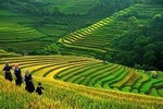 SAPA TREK TOURS - 2 DAYS 1 NIGHT STAY AT 3*** HOTEL IN SAPA TOWN