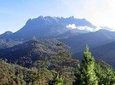 Kinabalu Park & Poring Hot Spring Tour