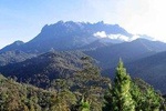 Kinabalu Park & Poring Hot Spring Tour