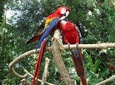 Auto Safari Chapin Drive-Through Nature Park & Zoo from Puerto Quetzal