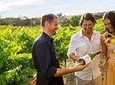 Half Day Wine & Cheese Tour - Niagara On The Lake Wine Tour