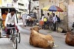 Varanasi Day Tour by Car - 1 to 3 Persons