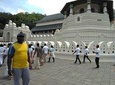 Private all inclusive Day tour Kandy, Pinnawala, & your own selected attractions