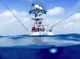 4 Hours Aruba Fishing Trip - Carla Charters