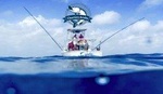 4 Hours Aruba Fishing Trip - Carla Charters