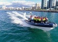 Speedboat Whale Watching in Reykjavík Iceland - Small group