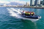 Speedboat Whale Watching in Reykjavík Iceland - Small group