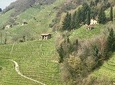 Prosecco Wine Tour
