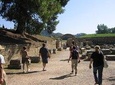 Accessible Tour Katakolon Port, Ancient Olympia Archaeological Site and Museum