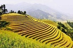 Ha Giang Panoramas 4 Days 3 Nights