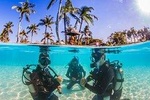 Scuba Diver Course (SSI)