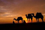 Camel Ride in the AGAFAY DESERT by Sunset Half day trip from Marrakech