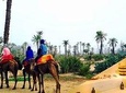 Camel Ride and Luxury Spa Treatment in Marrakech