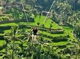 Bali Swing Ubud Private Day Tour