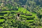 Bali Swing Ubud Private Day Tour