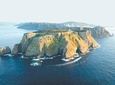 3-Hour Tasman Peninsula Wilderness Cruise from Port Arthur
