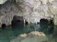 Private Cenotes tour