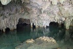 Private Cenotes tour