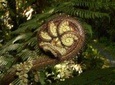Private Auckland Wine & Dine Matakana Country & Cuisine