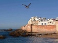 Discover the beautiful city of Essaouira on a day trip from MARRAKECH 
