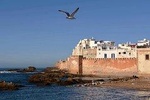 Discover the beautiful city of Essaouira on a day trip from MARRAKECH 