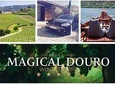 Douro Valley private day tour from Porto
