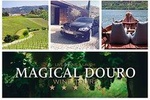 Douro Valley private day tour from Porto