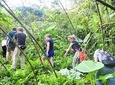 Jungle Life In Ba Be National Park 4 Days 3 Nights