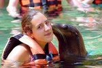 Adventure and adrenaline, swimming with SEA LIONS! & visit the Peruvian islands!