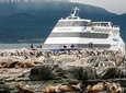 Beagle Channel Navigation with trekking at the Bridges Islands