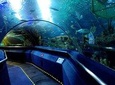 Aquaria KLCC Admission Ticket