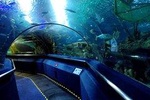 Aquaria KLCC Admission Ticket