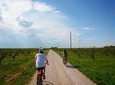 E-bike adventure among medieval castles and old villages