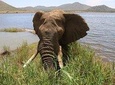 Pilanesberg Nature Reserve