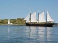 Tall Ship Silva Sailing Cruise
