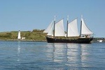 Tall Ship Silva Sailing Cruise