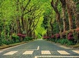 Explore Furnas by Van - Full Day Tour with Lunch and Thermal Baths
