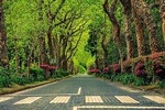 Explore Furnas by Van - Full Day Tour with Lunch and Thermal Baths