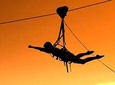 Flying Fox (Zimbabwe)