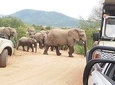 Kruger National Park Safari Travel by air
